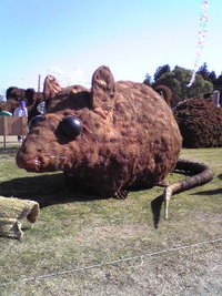 特大なケロロ