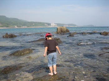 海