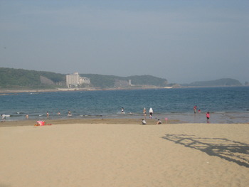 海