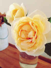 薔薇