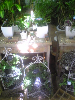 出品その9...お花のひだか。