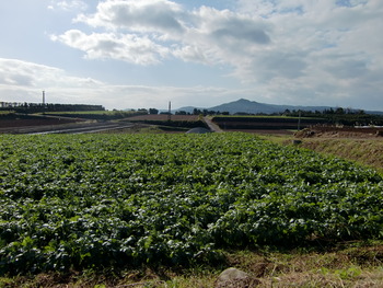 鹿児島探検記~長島編~