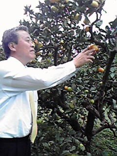 災害を克服した出水針原のみかん園を、農業潰しの大波から守る!