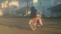 2011年03月31日