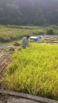 2011年10月08日