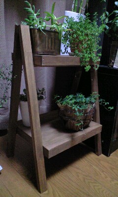 飾り棚