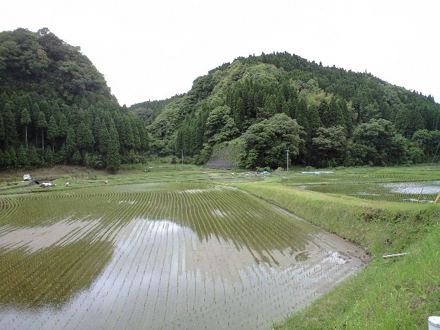 昨日は~♪