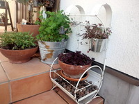 スタート♪ 2012/04/01 11:29:08