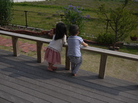 かわいいお客様♪ 2013/04/19 22:32:47