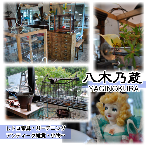 最近ギリギリですわ。。