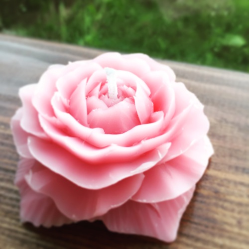 薔薇 薔薇