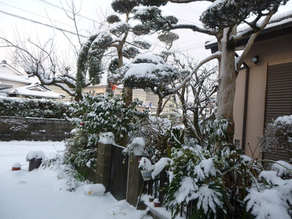 鹿児島は大雪でした！！