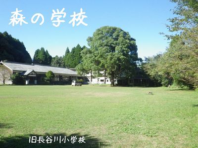 秋晴れ!