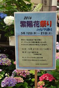 御礼｜『2016紫陽花まつりinなや通り』を開催しました。大変ありがとうございました。