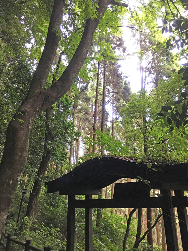 【ちぇすと歴史探訪】ヤマトタケル誕生一名嬢着の地、隼人町妙見「熊襲の穴」を訪ねる