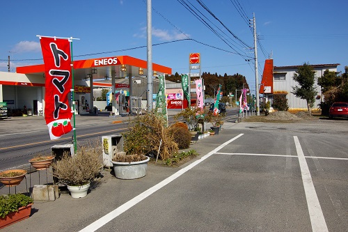 シーズン到来!大隅のイチゴ狩りスポット【安田農園】 シーズン到来!大隅のイチゴ狩りスポット【安田農園】