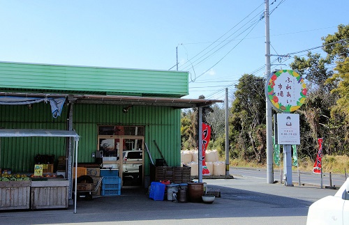 シーズン到来!大隅のイチゴ狩りスポット【安田農園】 シーズン到来!大隅のイチゴ狩りスポット【安田農園】