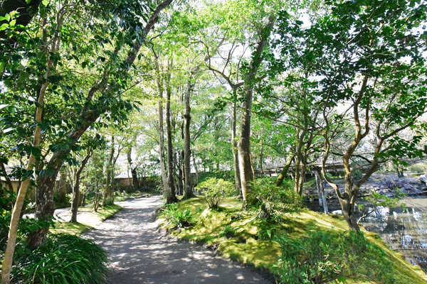 【せごどんロケ地】渡邊謙さまを追っかけて・・・旧島津氏玉里邸庭園へ行く