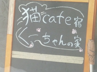 猫カフェのお宿「くーちゃんの家」