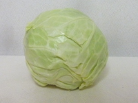 きゃべつさま