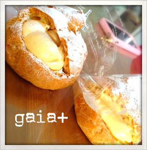 113＊gaia+