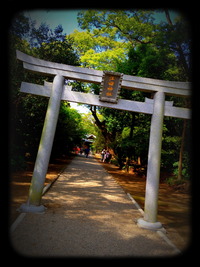 246＊江田神社