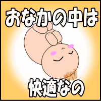 赤ちゃんと外の世界の境目