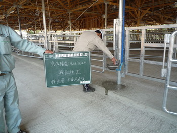 鹿児島県　公社　の　畜産（牛舎）　の　検査が無事終わりました
