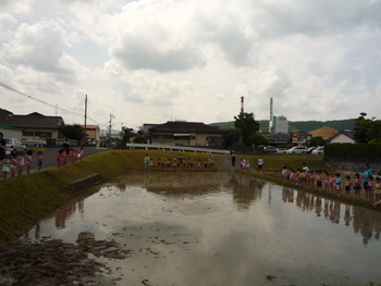 今日は新田神社の御神殿にＥＭだんごを投入しました。