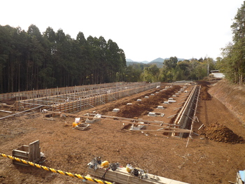 今日の県公社（牛舎）　の現場状況です。