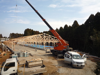 県公社　の　牛舎　今日の様子です。