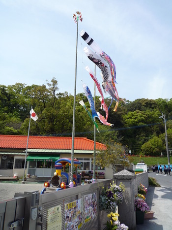 こいのぼりです。