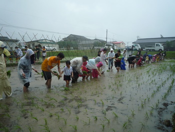 みくに幼稚園　御神田　に　ＥＭ投入のボランティアでした。