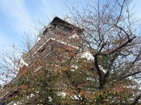 修学旅行ー２