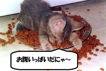また・またマーミーの手料理・・・