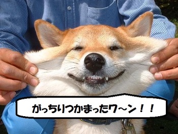 また・またマーミーの手料理・・・