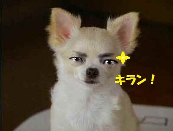 いよいよワールドカップ始まりました。