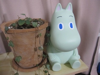 ナゼ?!ここにムーミン??犯人は・・・