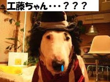 我が家もついに・・・野菜が・・・
