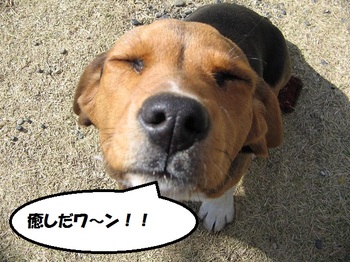 毎度のことながら・・・Chadd33に行きました。