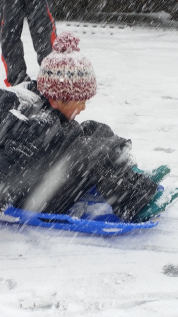 鹿児島にも雪が降った！！