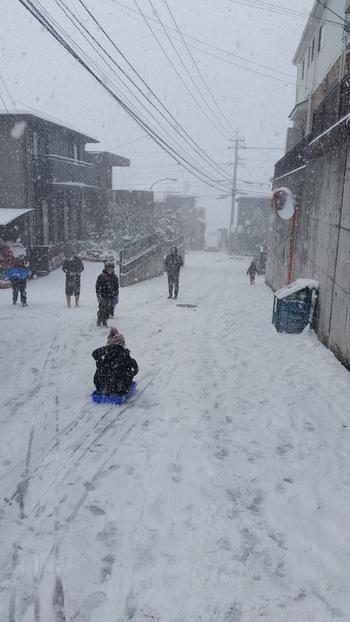 鹿児島にも雪が降った！！