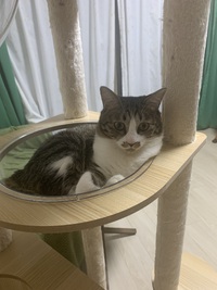 ごん太、大人の貫禄＞＜