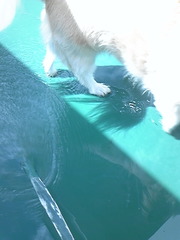 ずっと一緒❤