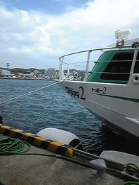 Yakushima　上陸❤