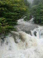 森の精霊たちと❤　in Yakushima