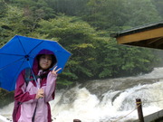 森の精霊たちと❤　in Yakushima