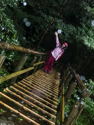 森の精霊たちと❤　in Yakushima