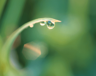 雨ふり・・・❤