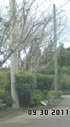 季節は秋